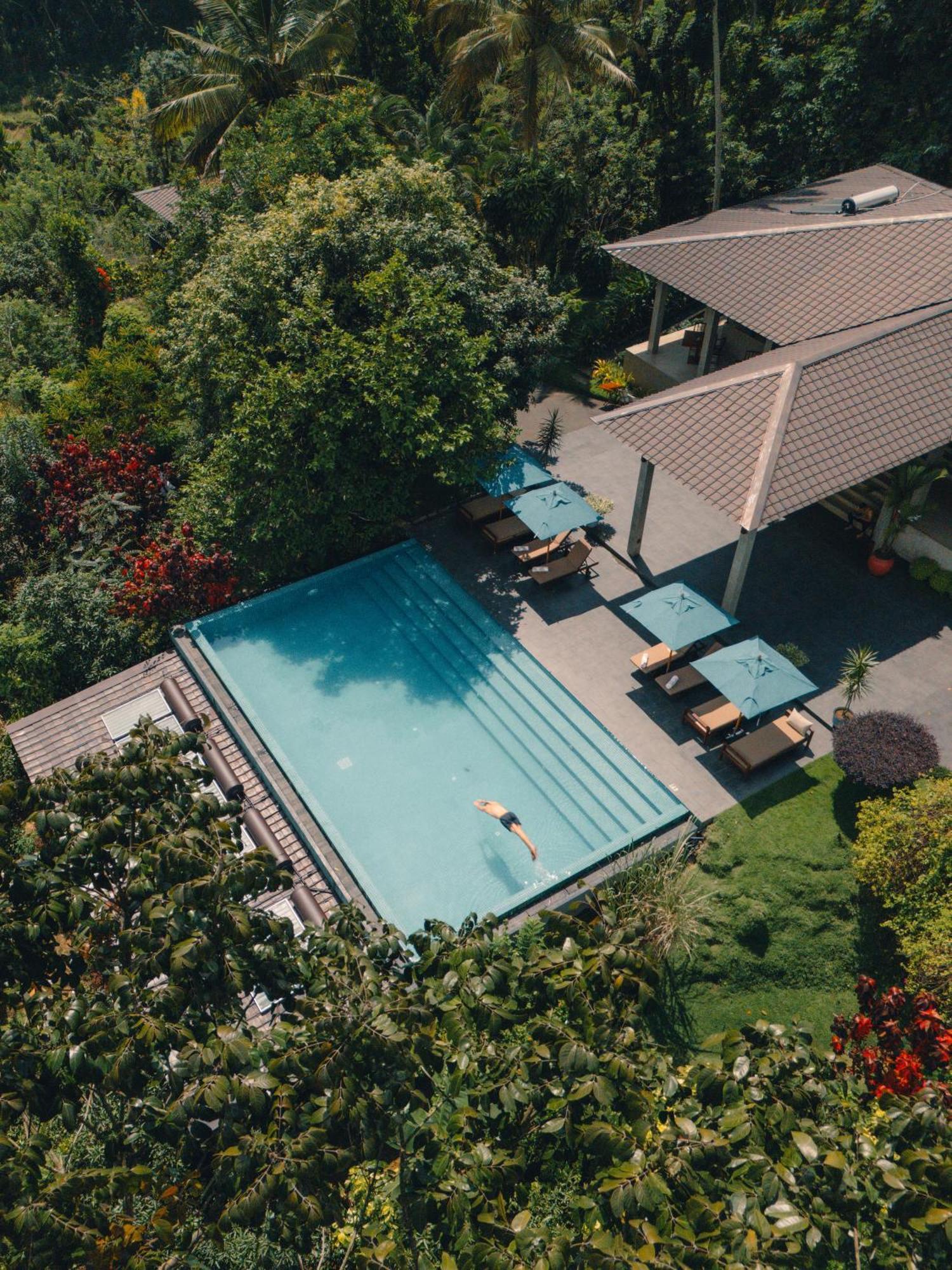 Aarunya Nature Resort - Kandy Exterior photo