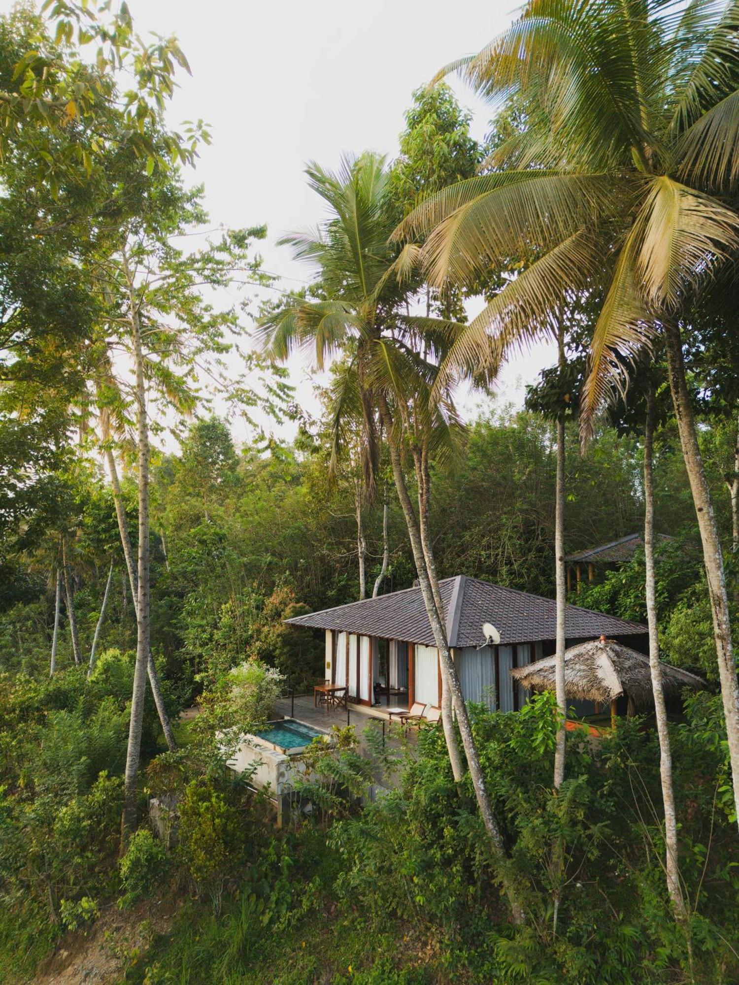 Aarunya Nature Resort - Kandy Exterior photo